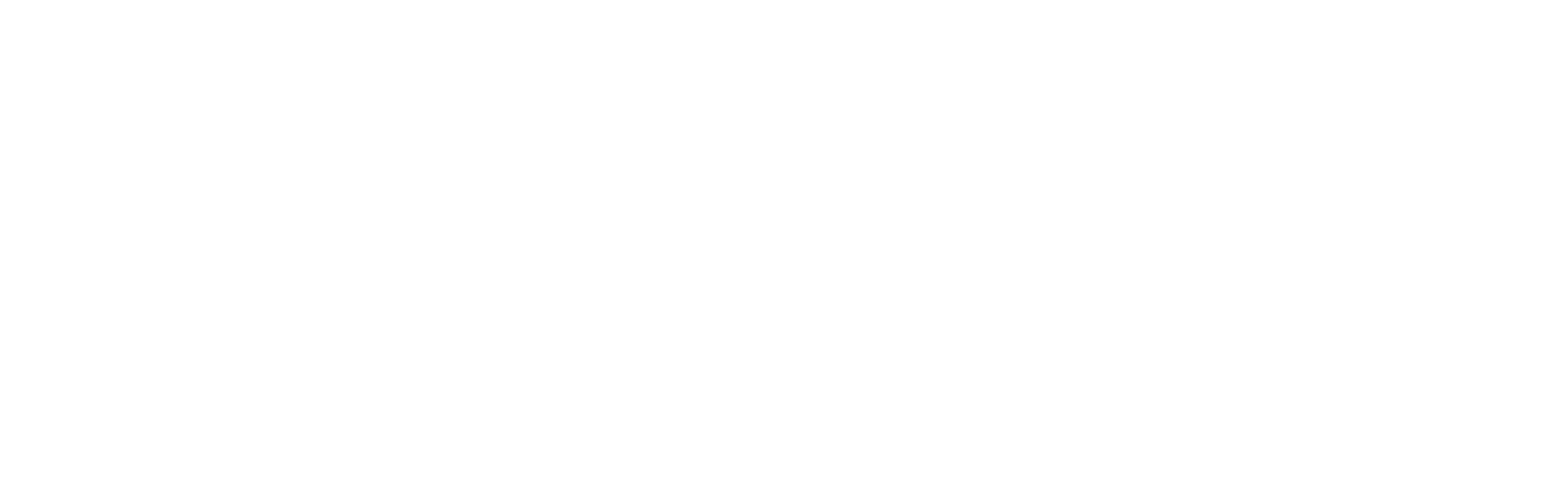 Southern Africa CEO Forum